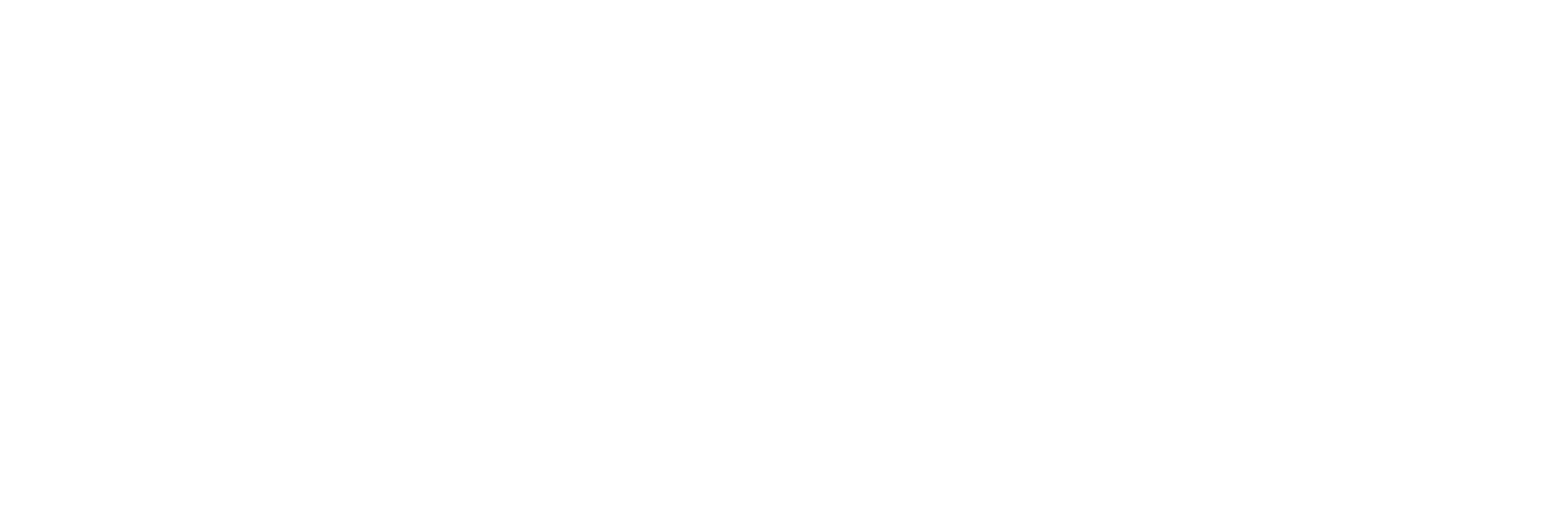 All-white knockout logo for custom software development company Findan Software